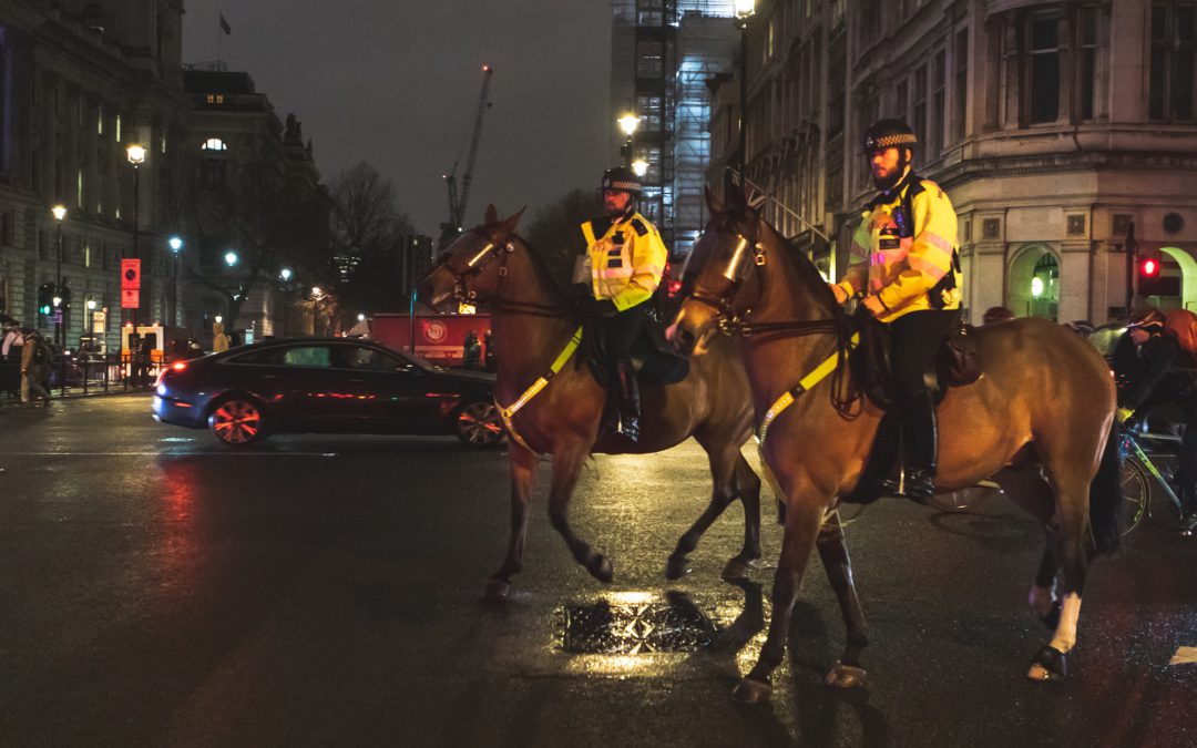 Dierenbelangenorganisaties roepen politie en overheid op te stoppen met het inzetten van honden en paarden bij conflictsituaties